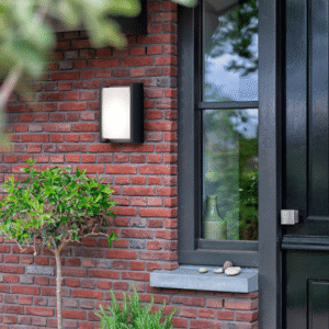 Aplique Bridge Antracita Sin Bombilla IP44 – Philips - Imagen 5