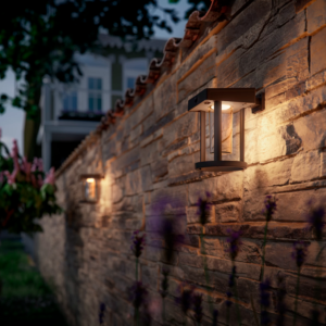 Aplique Camill R LED 1×1,4W 3000K Solar Ultra Eficiente con Sensor Negro M IP44 – Philips - Imagen 4