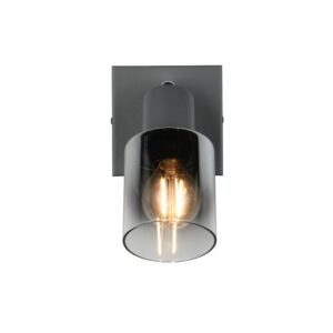 Aplique interior CADIZ tulipa ahumada E14 IP20 - TRIO Lighting - Imagen 2