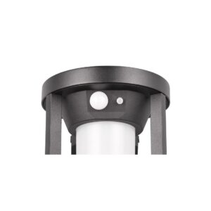 Aplique solar LED CARMO 20cm 2W 130lm 3000K IP54 con sensor - TRIO Lighting - Imagen 2