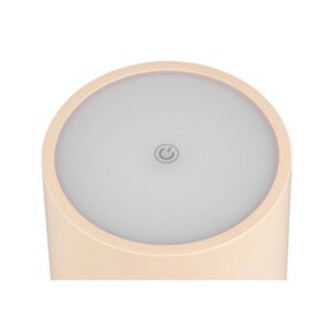 Lámpara LED FERNANDEZ exterior 1.5W 130lm IP54 - TRIO Lighting - Imagen 4